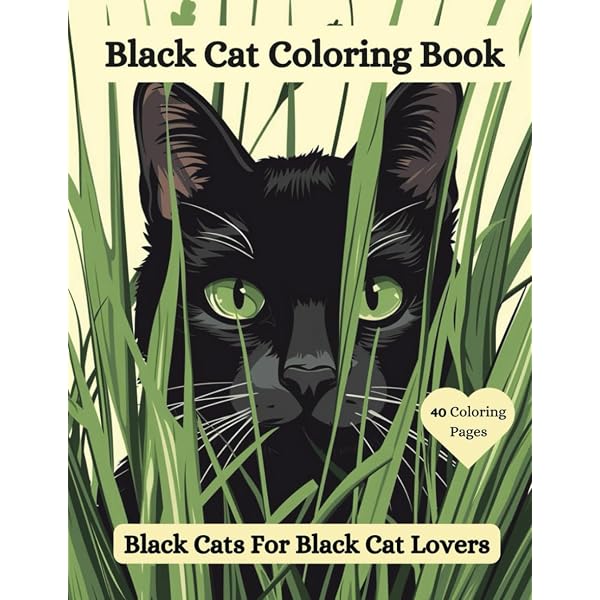 Amazon.com: Black Cats Tell All: True Tales And Inspiring Images